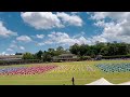 DRILL DISPLAY ANNUAL INTERHOUSE SPORTSMEET 2024 SRI SANGAMITTA GIRLS NATIONAL SCHOOL MATALE