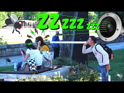 MUŠICA - SKRIVENA KAMERA - zzzZZZzzz - JEDAN ČOVEK SE BAŠ NALJUTIO, OPSOVAO...