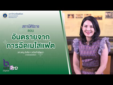 เมโสแฟตเหนียง
