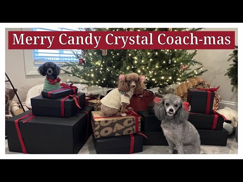 Coach Candy Crystal Collection Unboxing