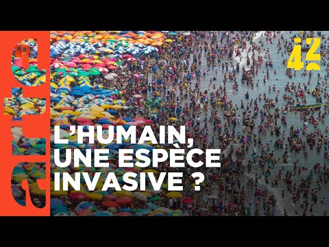 Sommes-nous trop nombreux sur Terre ? | 42 - La réponse à presque tout | ARTE