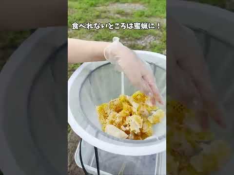 園芸 ミツバチを助ける蜂蜜を作る10本の低木