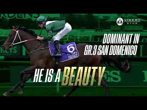 EXCEEDANCE - The Group 1 Superstar Retires to Vinery