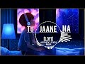 Tu Jaane Na~Lofi-Slowed+Reverb Tu Jaane Na~Lofi-Mix                       Tu Jaane Na~Lofi-Remix