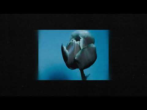 Nørus - Innature, Part V