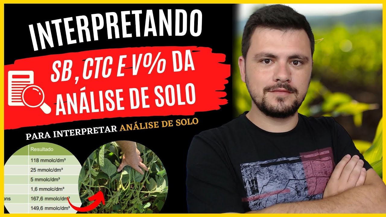 Interpretação de ANÁLISE DE SOLO: SB, CTC e Saturação por bases V%