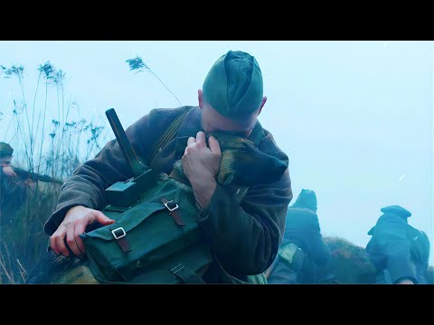 The army trained 40,000 anti-tank dogs to blow up more than 300 German tanks.