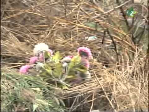 ТВ Маґазин по руски 22.09.2013. - TV Magazin po ruski 22.09.2013.