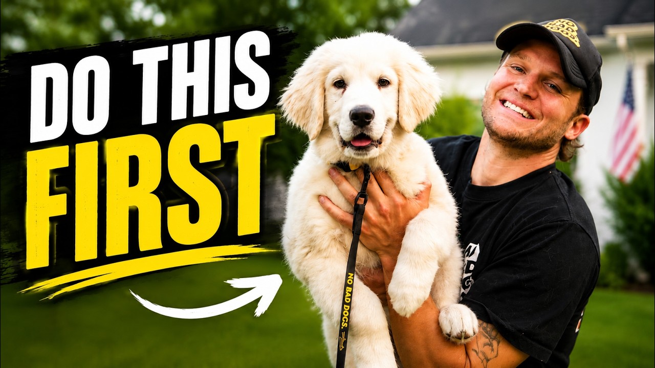 The VERY First Thing You MUST Do With Any Puppy- Puppy Training