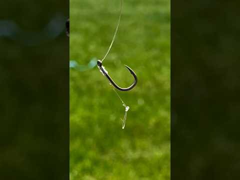 How To Catch Massive Carp - Use This Rig!