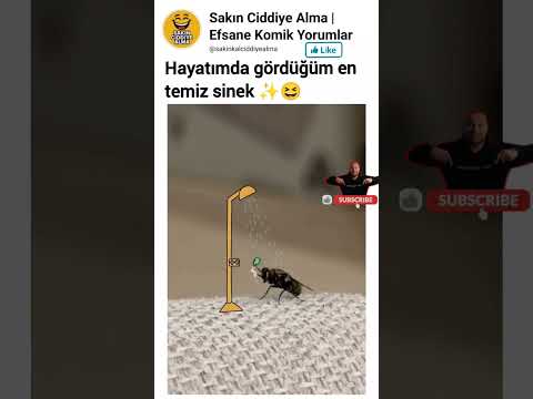 Hayatımda gördüğüm en temiz sinek ✨😆 #sakinciddiyealma #komikyorumlar