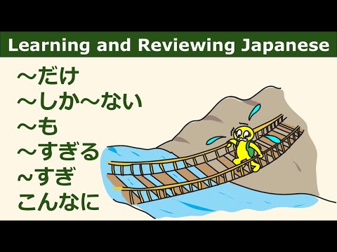 JLPT Grammar Patterns (Basic) ～だけ、～しか～ない、～も、～すぎる、~すぎ、こんなに