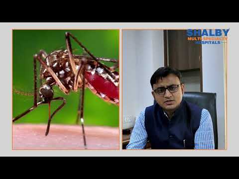 Key Information on Chikungunya