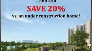 Lodha Codename Celebration