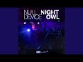 Night Owl (Endless Blue Mix)