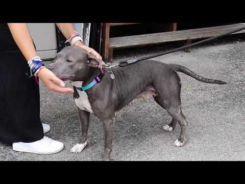 CTV Episode 601 Unsung Hero FSPA Competition