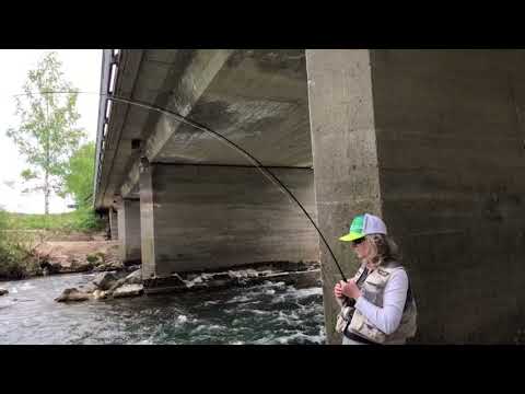 Fliegenfischen auf Rapfen bzw. Schied an der Ammer von Erich Brinkhoff