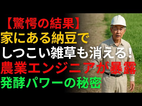 【驚愕の結果】家にある納豆で、どんなにしつこい雑草も消える！農業エンジニアが解き明かす発酵パワーの秘密 | 除草剤 | グリーン農 | 芝生 | 雑草対策