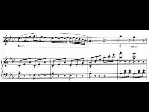 Les oiseaux dans la charmille (Les Contes D'Hoffmann - J. Offenbach) Score Animation