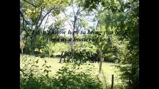 Alan Jackson - Taillights Blue (with lyrics)