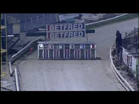 Geelo Monty - BGBF British Bred Derby 2018