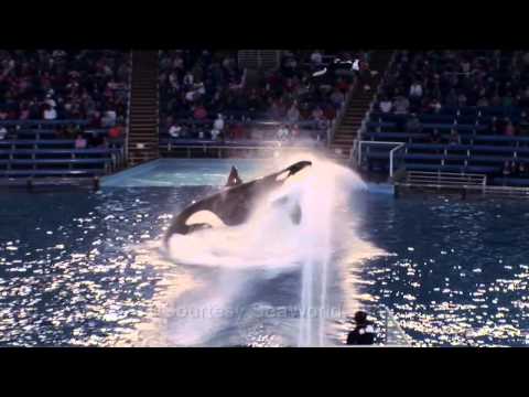 Seaworld Commercial 1