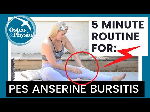 Our full 5 minute guided routine for PES ANSERINE BURSITIS!