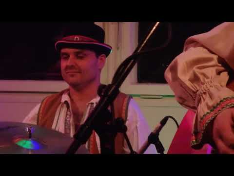 Viktor Dyk a WAW - acoustics