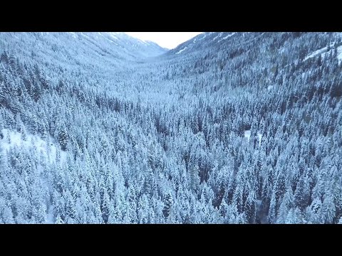 DOVI x NICHKA - До зими ( Light dreaming remix)#dovi#nichka#українськамузика #ukrainianmusic#remix