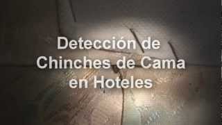 Detección de Chinches de Cama en Hoteles
