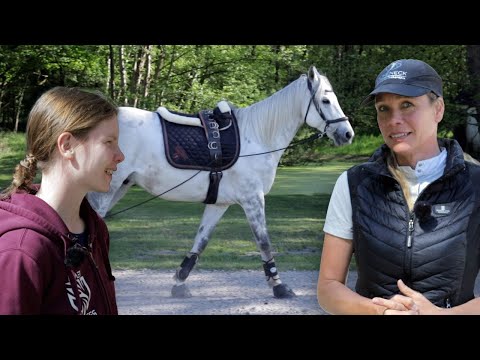 Wird der Schimmel nochmals den Besitzer wechseln? Rennpferd sucht seine Grenzen | Pferdedoku