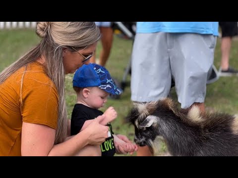 HarvestMoon Fun Farm video thumbnail