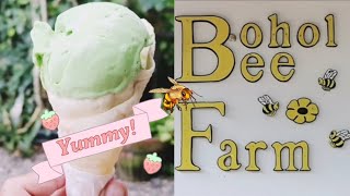 BOHOL BEE FARM RESORT AND RESTAURANT TOUR | BOHOL BEE FARM ICE CREAM | BOHOL BEE