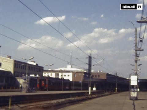 Fellowsoph & Edi Flaneur - Tage zurück