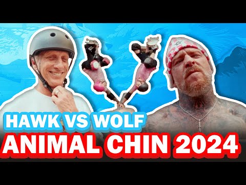 Animal Chin 2024 | EP 165 | Hawk vs Wolf