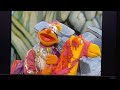 Sesame Street Big Bird S Story Time DVD Preview