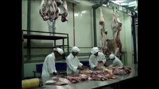 Download lagu RPH RJB ABATTOIR ( RUMAH POTONG HEWAN ) RITA JAYA BEEF PONOROGO mp3