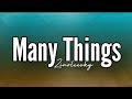 Zinoleesky - Many things (Lyrics)
