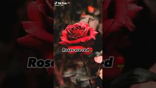 roses are red violets are blue# short#😎🤣