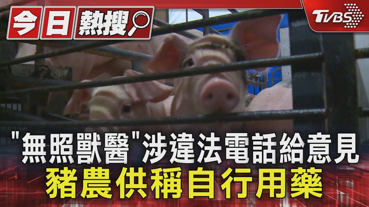 染疫豬場廚餘蒸煮未正常上傳雲端 盧秀燕:現行法規無罰則可循