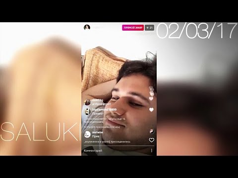 SALUKI – 2 марта 2017 [Instagram]