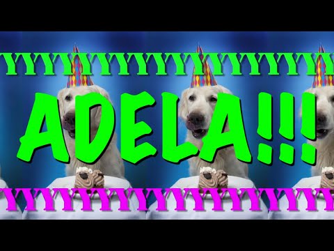 HAPPY BIRTHDAY ADELA! - EPIC Happy Birthday Song