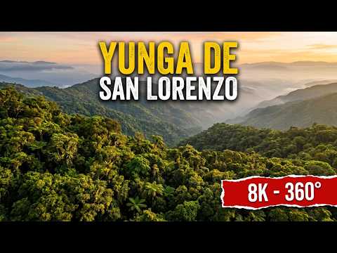 Yunga de San Lorenzo - Salta - 360° - 8k