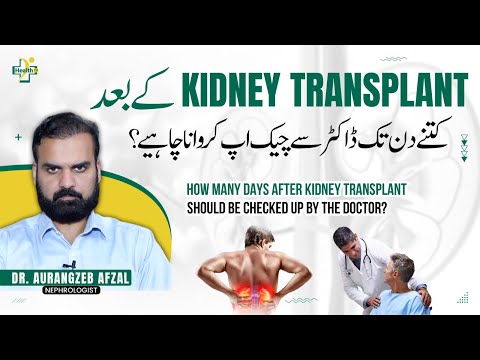 Kidney Transplant Ke Bad Doctor Ko Kab Dikhana Chahiye? | Care After kidney Transplant in Urdu