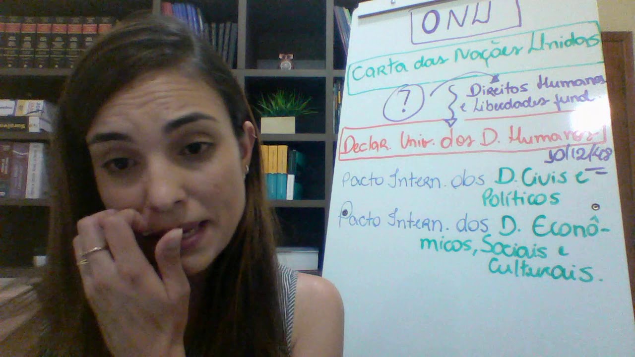 Sistema global de proteção dos Direitos Humanos