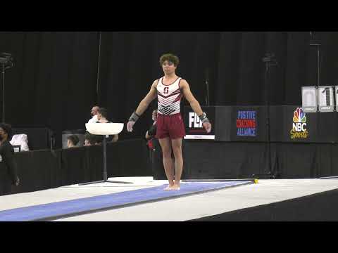 Nicolas Kuebler - Vault - 2022 Winter Cup - Senior Men Day 1