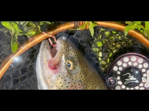 How to fish the San Juan Worm