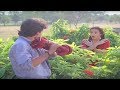 Nagarjuna Teasing Amala Comedy Scene Chinnababu Telugu Movie