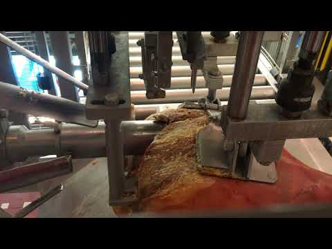 Sgorbiatrice automatica