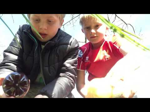 Vi bunder en halv liter sodavand  advarsel bræk